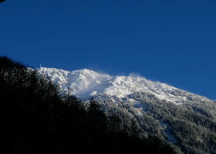 Montafonerhaus Tatil Evi